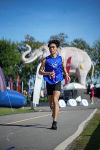 BIB: 
                            <button type="button" onclick="openModal(26542186)" class="btn btn-primary btn-sm float-right btn-popup" data-toggle="modal" data-target=".modal-high-quality">
                        <i class="fas fa-shopping-cart"></i> Add to Cart
                    </button>
                                            <button type="button" onclick="isThisMe(26542186, true)" class="btn btn-success btn-sm float-right btn-popup btn-isme hidden" data-toggle="tooltip" data-placement="bottom" title="นี่คือรูปของคุณใช่ไหม คลิกที่นี่เพื่อเอาเข้าอัลบั้ม">
                        <i class="fas fa-plus"></i> Add to album
                    </button>
                    <button type="button" onclick="isThisMe(26542186, false)" class="btn btn-warning btn-sm float-right btn-popup btn-isnotme hidden">
                        <i class="fas fa-ban"></i> Remove from album
                    </button>